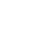 Ʋ